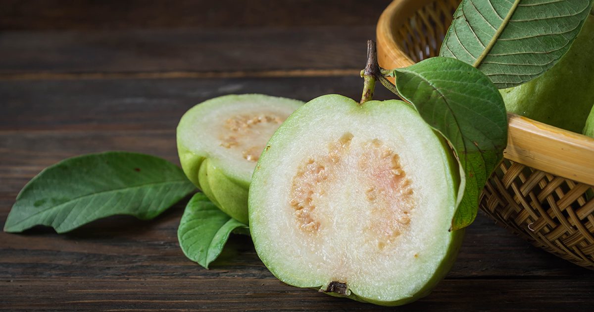 فوائد شرب ورق الجوافة